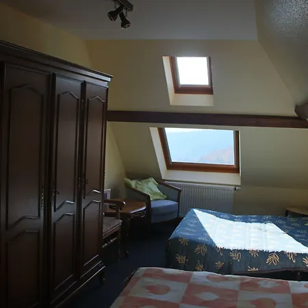 L'hostellerie Le Turckheim Croix D'or ホテル トロワ・エピ