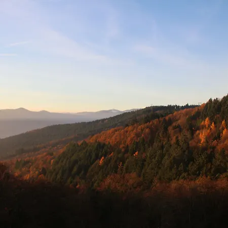 L'hostellerie Le Turckheim Croix D'or 2* Trois-Épis
