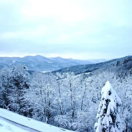 Hotel L'hostellerie Le Turckheim Croix D'or 2*
