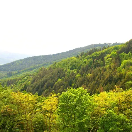 ホテル L'hostellerie Le Turckheim Croix D'or