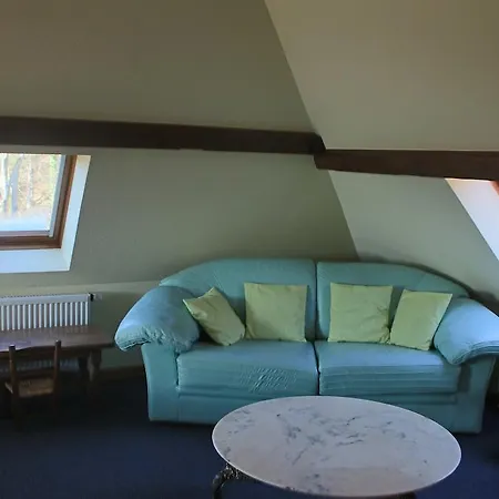 Hotel L'hostellerie Le Turckheim Croix D'or 2*