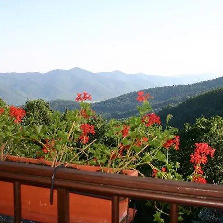 ホテル L'hostellerie Le Turckheim Croix D'or